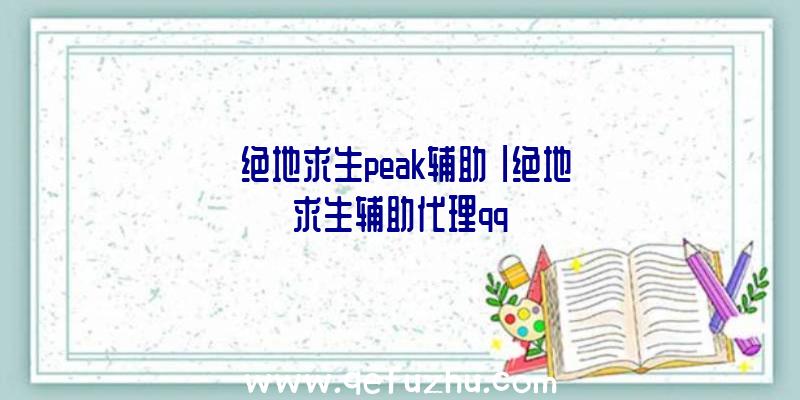 「绝地求生peak辅助」|绝地求生辅助代理qq